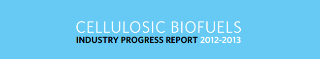 Cellulosic Biofuel Report