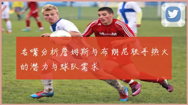 名嘴分析詹姆斯与布朗尼联手热火的潜力与球队需求